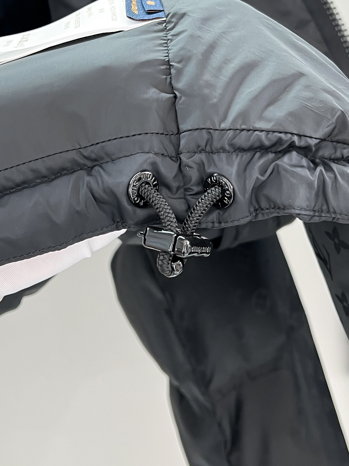 Louis Vuitton Down Jackets